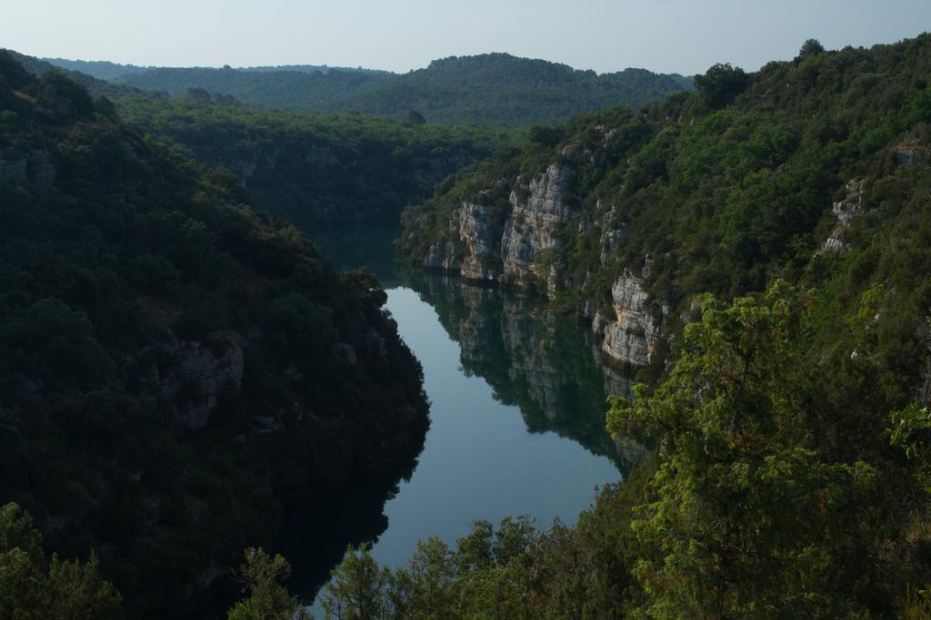 La Colombiere Du Chateau Saint-Laurent-du-Verdon Dış mekan fotoğraf