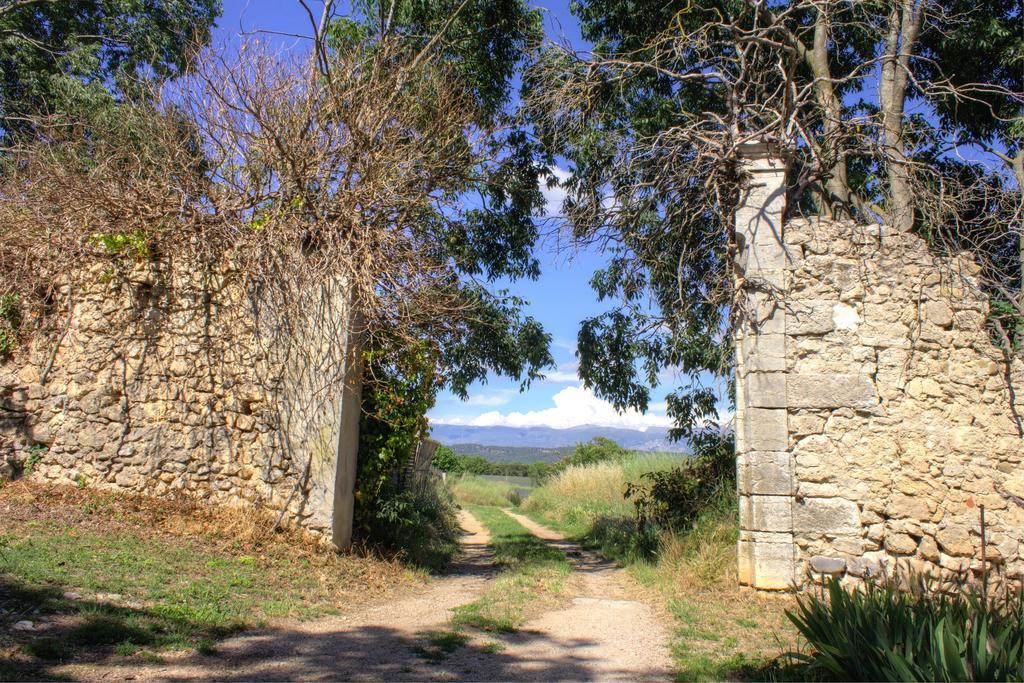 La Colombiere Du Chateau Saint-Laurent-du-Verdon Dış mekan fotoğraf